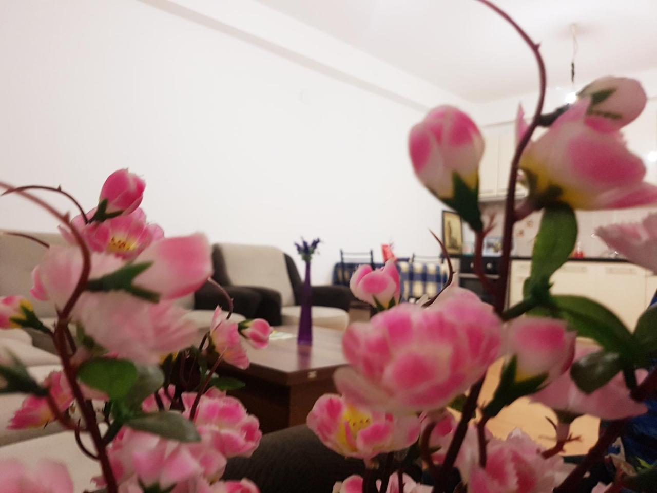 Superb Location * Tetovo